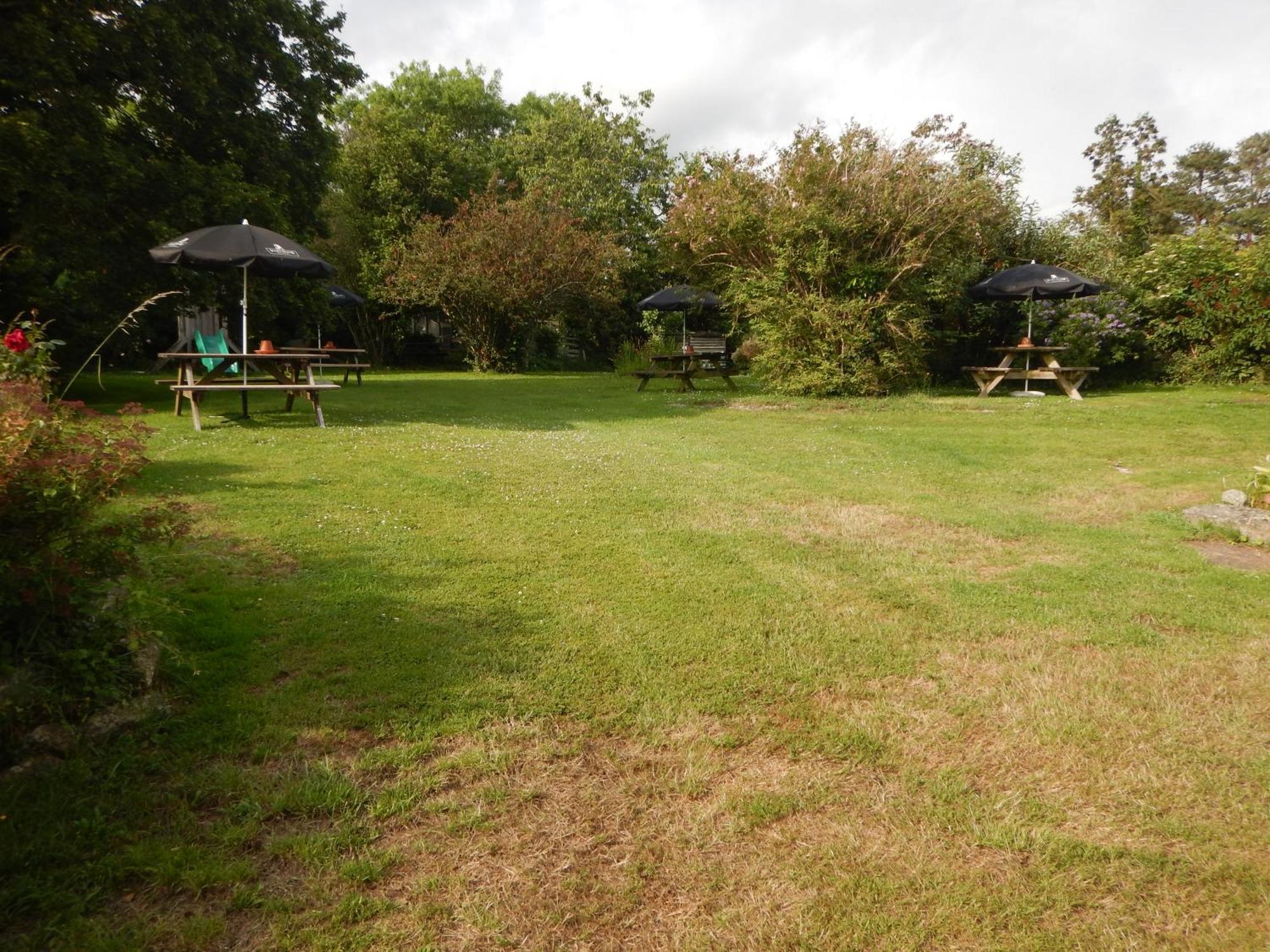 The Royal Oak Inn Dunsford Eksteriør bilde